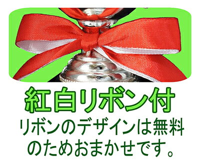 トロフィー【送料無料＆文字無料】【ガラス】 ガラストロフィー W-VB3508-Aサイズ 240mm | クリスタルトロフィー クリスタル クリスタルガラス 名入れ 優勝カップ ゴルフトロフィー ゴルフ優勝カップ ゴルフ 卒団 記念品 卒業記念品 サッカー バスケ 野球 ホールインワン