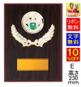 盾 ゴルフ 高さ230mm 文字無料 記念品 表彰楯 ゴルフ ニアピン賞 ドラコン賞 ゴルフコンペ 祝い トロフィー ゴルフ 優勝トロフィー ホールインワン エ...