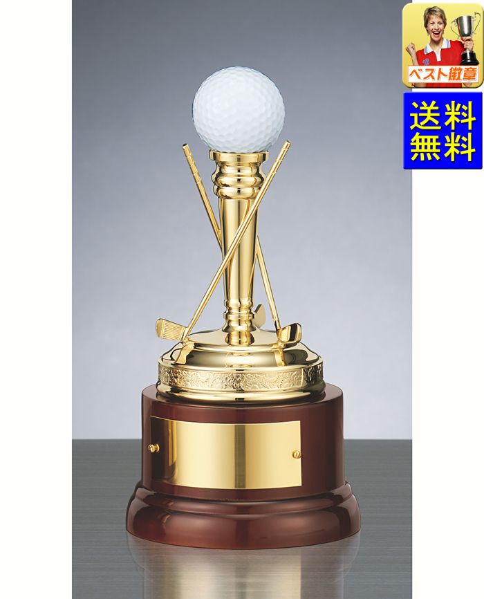 ホールインワン　トロフィー「送料無料＆文字無料」高さ195mm Y-NW2701 ホールインワントロフィー　記念品　ゴルフ　記念品　優勝　バーディ　イーグル　アルバトロス　ベストグロス　ホールインワン