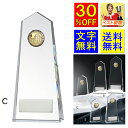 トロフィー 30%引 送料無料 文字無料 高さ19cm 女神 ガラストロフィー 賞 クリスタルトロフィー 敢闘賞 ガラス 名入れ 女神 王冠 地球 トロフィー ...