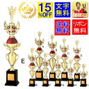 トロフィー 15%OFF 送料無料 文字無料 高さ465mm トロフィー ゴルフ 優勝カップ 体操 トロフィー 競技 野球 サッカー 空手 柔道 相撲 ボウリ...
