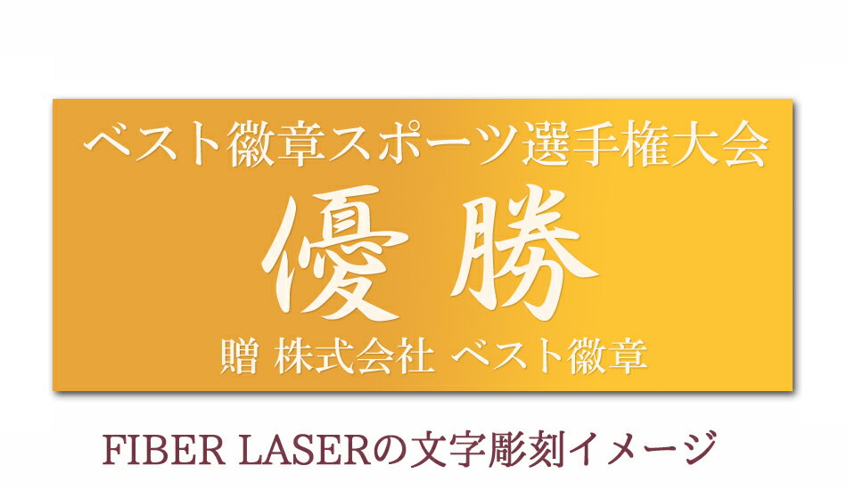 ͥ�����åס�30��OFF���⤵490mm������̵����ʸ��̵��������С����俧��ͥ�����åס��⡡�ȥ��ե�����ͥ�����åס�ͥ���ȥ��ե�������塡���å��������С���ƻ����ƻ���ܥ���󥰡�ͥ�����åס����ڡ��Х����åȥܡ��롡����ա��Хɥߥ�ȥ󡡥Х졼�ܡ��롡NS305-����