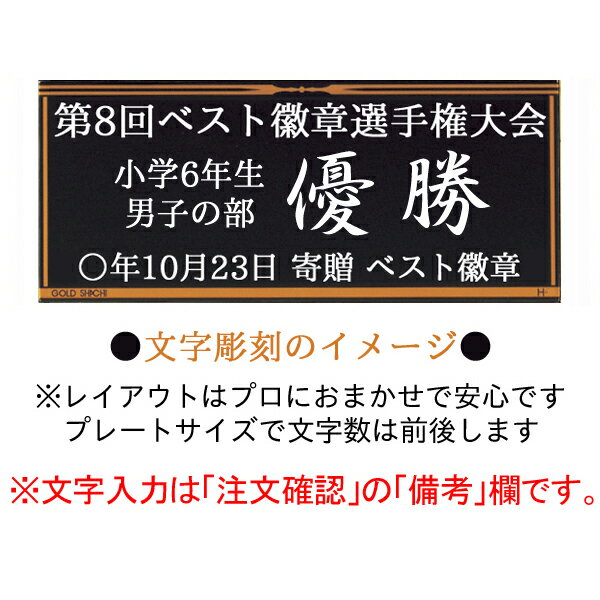 優勝カップ　高さ200mm　20％引　文字無料　樹脂製 「赤い 優勝カップ」トロフィー　優勝カップ　ゴルフ　優勝トロフィー　優勝カップ　ゴルフ　野球　サッカー　バスケット　バレーボール　グラウンドゴルフ　相撲　柔道　剣道　空手　トロフィー　ボウリング　K-CP203-B 3