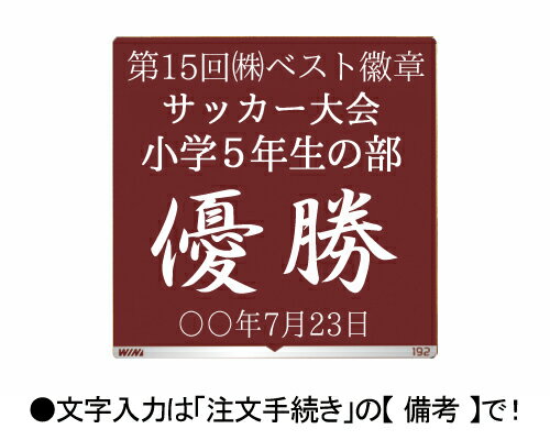 トロフィー サッカー 文字無料【3980円で送料無料】高さ255mm サッカー フットボール リフティング 最優秀選手 優秀選手賞 ゴール アシスト ヘディング サッカー MVP 皆勤賞 フットサル トロフィー 卒業記念品 卒団記念 卒部記念 W-VB4810-C通販 サッカー 用品 セール