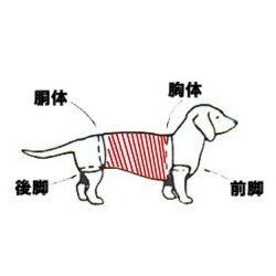 首輪 胴輪 リード ハーネス 円筒状で 両足に難を抱えるペットやリハビリ用としてご使用いただけます ウォーカーベリーハーネス 胴体 胴輪 ハーネス p店 Lサイズ 首輪 胴輪 リード ハーネス 円筒状で 両足に難を抱えるペットやリハビリ用としてご使用いただけます ウォーカーベリーハーネス 胴体 胴輪 ハーネス p店 Lサイズ