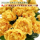 商品の詳細 商品 松浦バラ園のバラ入り花束 日本一のバラを決める品評会で、27歳にして日本一の商号を手にしたのが松浦泰裕さん。松浦泰裕さんの実家は祖父から3代のバラ農家で、5年間、父の元で生産技術を磨いてきました。松浦泰裕さんのマンゴーリーバは、2023年2月23日の天皇誕生日に、天皇陛下に献上されることとなっています。いくつもの賞作品を排出する松浦泰裕さんのバラ入り花束はいかがでしょうか。 サイズ ■長さ60×幅35×奥行30cm オプション ■メッセージカード≪無料≫ ちょっとしたお手紙としてご利用いただけます。ご希望の方はご購入手続きの際にメッセージ内容を入力くださいませ。 領収書 発行可能です。ご希望の場合は、備考欄にご記入ください。メールでの送付になります。（ご郵送不可） 配達 全国送料無料です。（北海道・沖縄 配送不可） 【あす楽について】営業日午前11時までのご注文：当日発送可能※一部地域によっては、発送から1.5日又は2日以上かかる場合有り 【お届け日時指定について】指定可能です。※商品によっては、時間指定不可有り※指定無しの場合は、最短で発送 注意事項 ■生花でございますので、　”実際のサイズおよび”　商品写真と多少違いがある場合がございます。また、モニター 発色の具合により実際の商品と色味が異なる場合がございます。あらかじめご了承ください。 ■配送業者の繁忙期の場合、運送会社により、　”ご指定の日時”　に配送できない場合がございます(全国)。 ■在庫状況により商品がご用意できない場合は別途ご連絡をさせていただきます。 ■商品がご不在でお届けできないなどお届けに時間を要し商品が劣化した場合はお取替え、返金は致しかねます。 ■冬季・夏季はお届け先の気温によっては出荷をお断りする可能性がございます。 ■配送業者の繁忙期の場合、運送会社により、午前中に配送できない場合がございます(全国)。 ■お届け先が法人様の場合、お届け日・お届け時間は営業されているか、ご確認ください。 ■離島・山間部の場合、通常より配送が遅れる場合・配送時間が指定できない場合があります。