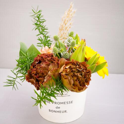 プレゼントに最適！カップ（ホワイト）入りアレンジメント