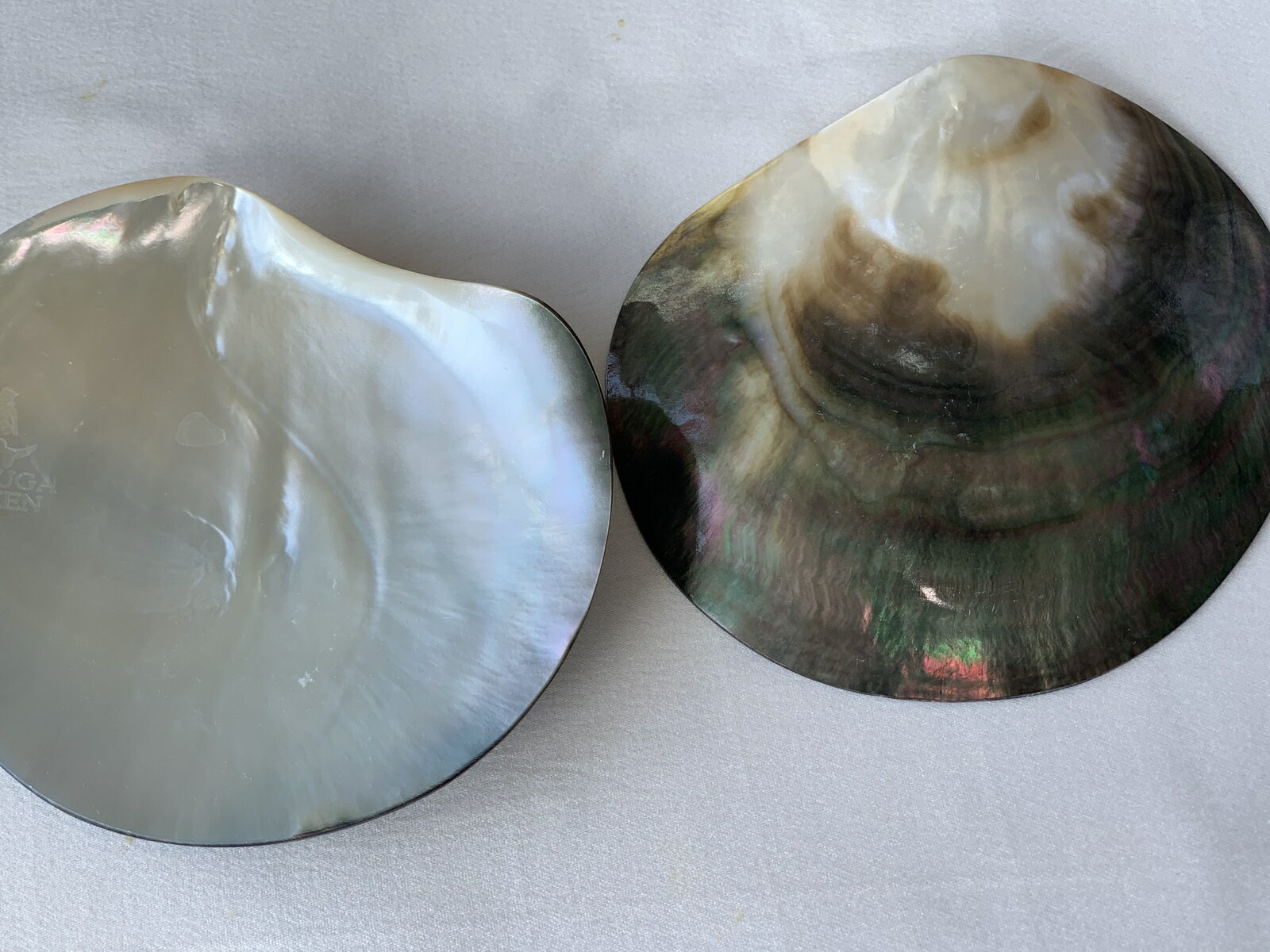 ����ӥ��ѡ���饷����ץ졼�ȡʻ���1��