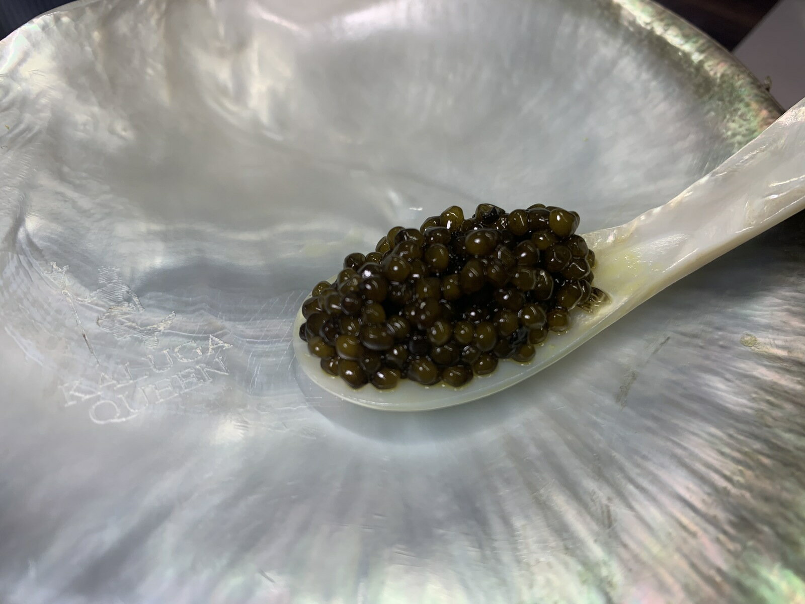 ����ӥ��ѡ���饷����ץ졼�ȡʻ���1��������륹�ס������10cm��1�ܥ��å�