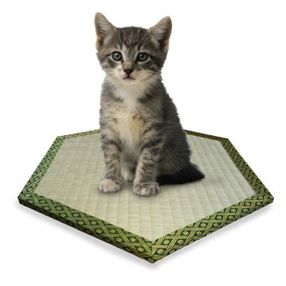 猫 ペット 猫転送装置 猫ワープ・猫ちゃん用六角形畳 畳 マット 日本製 天然 い草 通気性