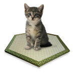 猫 ペット (猫転送装置) 猫ワープ・猫ちゃん用六角形畳 畳 マット 日本製 天然 い草 通気性