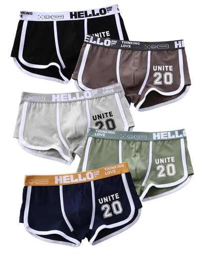 [Anderme]ボクサーパンツメンズ下着3D立体成型快適軽さカラフル綿前閉じ抗菌清潔ボクサーブリーフローライズL