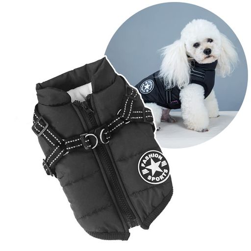 Oncpcareη򸣰븤٥ǭ淿æñɴɿ奸㥱åȤڥå