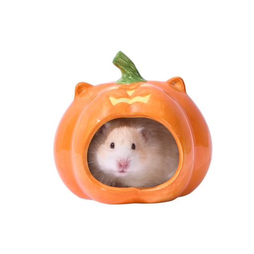 Tafitハムスター隠れ家セラミック陶器かぼちゃ型(ハロウィン風)小動物用ハウスハロウィン仕様四季対応..