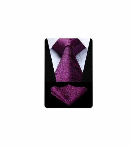[HISDERN]結婚式ペイズリーネクタイチーフセットメンズ紫花柄ネクタイおしゃれ礼服用紳士ビジネスパー..