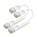AnkulyCat6ALANケーブル短いランケーブル0.3m2本セットRJ45コネクタ10Gbpsサーバー企業様向け有線ケーブル業務でも家庭でも