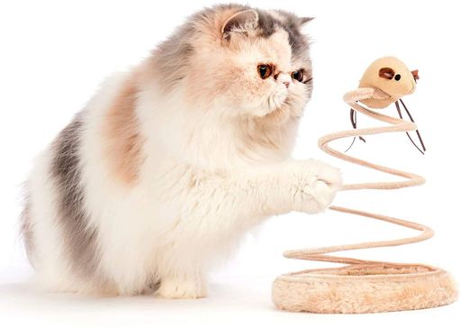 【丸いぬいぐるみ吸盤と猫の引っかきおもちゃ】:猫に快適さを提供する柔らかいぬいぐるみ素材で覆われたベース。ペットのぬいぐるみの中心には綿と麻の布が使われており、猫は爪を挽くことができます。機能の猫のおもちゃはあなたの猫の自然な本能を満たします。猫が簡単に押し下げることはできません。 【猫のエクササイズ】:このインタラクティブな猫のおもちゃの上部は、子猫の注意を引くためにマウスのような形をしており、子猫の興味を引き付けます。それはあなたの猫が活発に保ちそしてより多くの運動をするのを助けます。 【ワイヤースプリング】:スチールワイヤースプリングのデザインを採用し、猫のおもちゃをより強く、より耐久性のあるものにします。弾力性のある回転ばねがあるため、よく自らで遊ぶことができます。 【猫の知能指数(IQ)を上げるパズルおもちゃ】:猫を怠惰にせず、スポーツが大好きになりました。