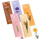 moinmoinしおりブックマーク25枚セット押し花透明クリア防水英字おしゃれ花フラワー美麗/ひまわりグリーン鈴蘭チューリップバラパープルイエローホワイト(押し花(5種))2310sor109