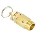 MMETERXITYブラスエアコンプレッサ圧力バルブ142PSI屋外用/工業用(1/4NPTオススレッド)