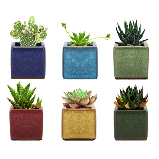 植木鉢6個入りLewondr多肉植物ポットプランター陶器鉢盆栽窓飾りインテリアミニ植物適用2号サイズ6.35*6.35*6.35cm「注:セット内容は鉢のみ」SquareIceCrack