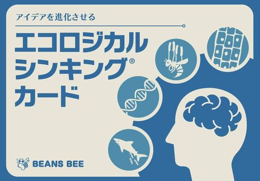 エコロジカル・シンキングカード