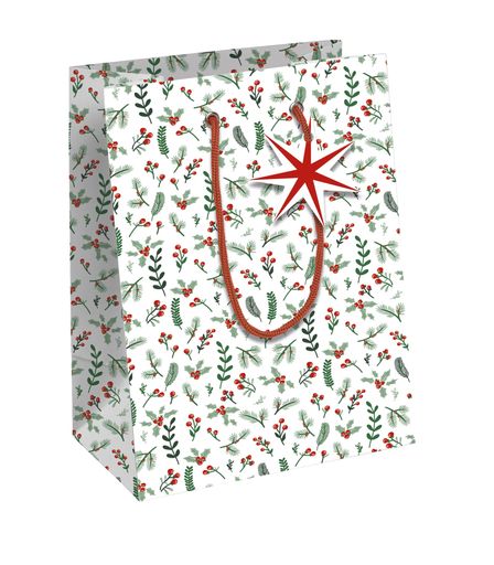 졼եơ̡ڥꥹޥڡѡХåۥS(21.5x25.3x10.2cm)ߥ˥դClairefontainecfX-32820-...