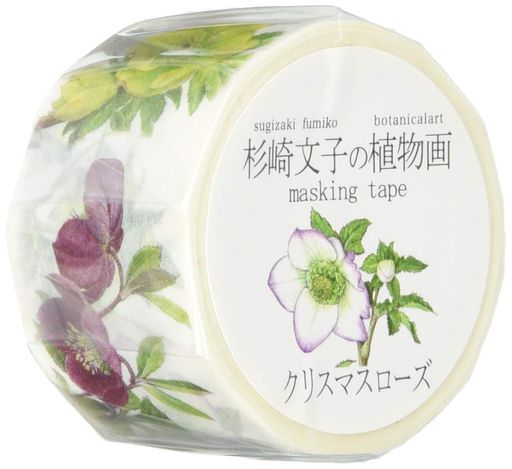 ߥޥ󥰥ơץꥹޥ25MMx5MGR-0017