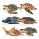 TOYMANY動物フィギュア6PCSカメフィギュア海洋動物セットリアルな動物模型カメ好き人気動物おもちゃ玩具誕生日プレゼントクリスマス新年飾り物コレクション6歳...