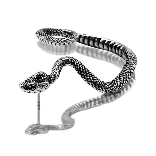 Friendshipピアスメンズ片耳蛇メンズスネークフープピアスイヤリング男性レディース耳軟骨片耳用おしゃれ金属アレルギー対応耳飾り誕生日ギフト
