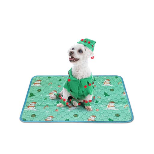 TiTiSNUGY洗えるペットシーツペット用おしっこマット【ブルー縁ガイド!】ペットマット小型~中型犬・猫..