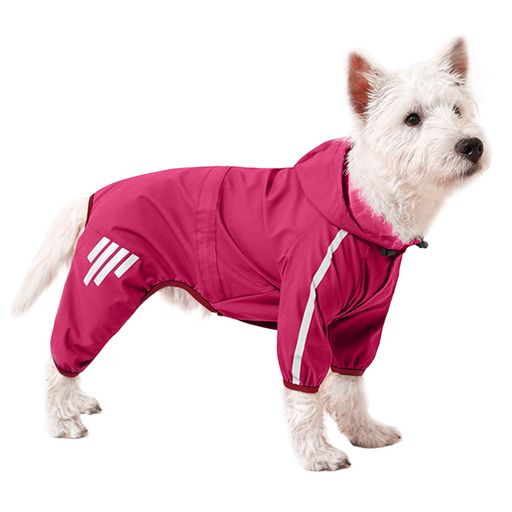 [Nyoniko(˥˥)]쥤󥳡ȥڥåȥ쥤󥳡ȥåѾ淿ȿͺդɿɿ˹դ꡼ɷꤢæñ߱кѵ...