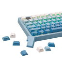 EPOMAKER133キーダブルショットサイドプリントPBTチェリープロファイルキーキャップセットメカニカルゲーミングキーボード用ANSI配列MX-Cloneスイッチ対応Cherry/Gateron/Kailh/Epomakerスイッチ(2)