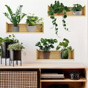 SMAOSTORE(また)ウォールステッカー緑色の植物鉢植えおしゃれ鉢植えシェルフ背景の壁植物観葉植物防水はがせるウォールシール北欧壁紙シール