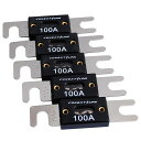 CONEXTLINKニッケルANLヒューズ80100150200250300アンペア5パック100AMPANL100-5