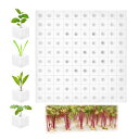 Cluoling水耕栽培スポンジ野菜植えスポンジ水耕スポンジブロック植栽スポンジ水無土壌栽培培養ポット苗野菜苗床ツール葉菜用培地スポンジ土壌なし植物栽培無土壌植栽園芸用品家庭用野…