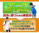 バドミントンジュニア上達の極意【小平ジュニアバドミントンクラブ監督城戸友行指導・監修】DVD2枚組