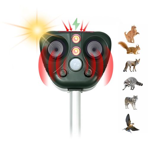 SONWONưʪﳲкĶưʪ褱кǭ褱Ļ褱褱ֳ߽ͥ󥵡10MϰUSB&顼ĶĹԵ5...