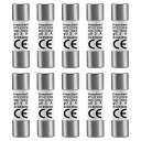 HESCHEN円筒形セラミックチューブヒューズリンクRT18-32(RO15)10*38MM3A500VCETÜV10個入り