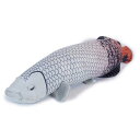 TSTアドバンスわくわく図鑑 淡水 ピラルク35CM