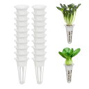 GOODCHI水耕栽培鉢水耕栽培バスケット水耕栽培ポット定植育苗かご20個入りプラスチックメッシュポット育成ポット野菜植物栽培有機栽培植物育成カップ