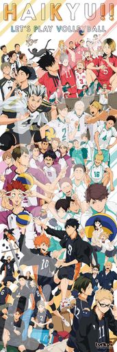 󥹥(ENSKY)ϥ塼!!HAIKYU!!CHRONICLES34x102cmѥ950ԡJIGSAWPUZZLE...