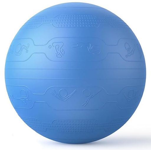 PROIRONバランスボール65cmばらんすぼーるトレーニングガイドパターン付き厚いジムボールバランスボー..