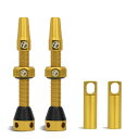 THINVIKチューブレスバルブ仏式チューブレス対応リム用48MM70MM超軽量アルミ合金耐久防錆2本セット(アルミニウム合金バルブキャップ付)+コア外しツール付き(48MMゴールド)