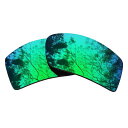 OakleyGascan交換レンズ偏光マルチオプションオークリーガスカンレンズフリップ(グリーンミラー-偏光)(4)