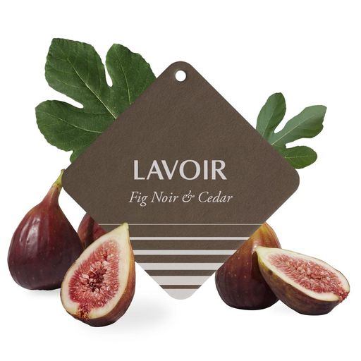 LAVOIR֥ ե쥰  եΥ& ˧ ե쥰󥹥 1 ߤ겼 ˧