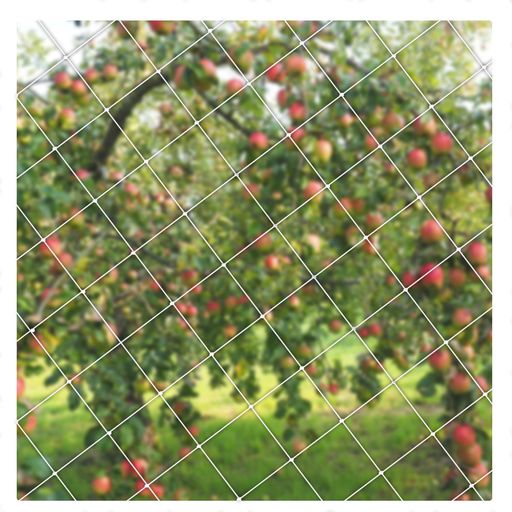 ネット園芸の商品画像