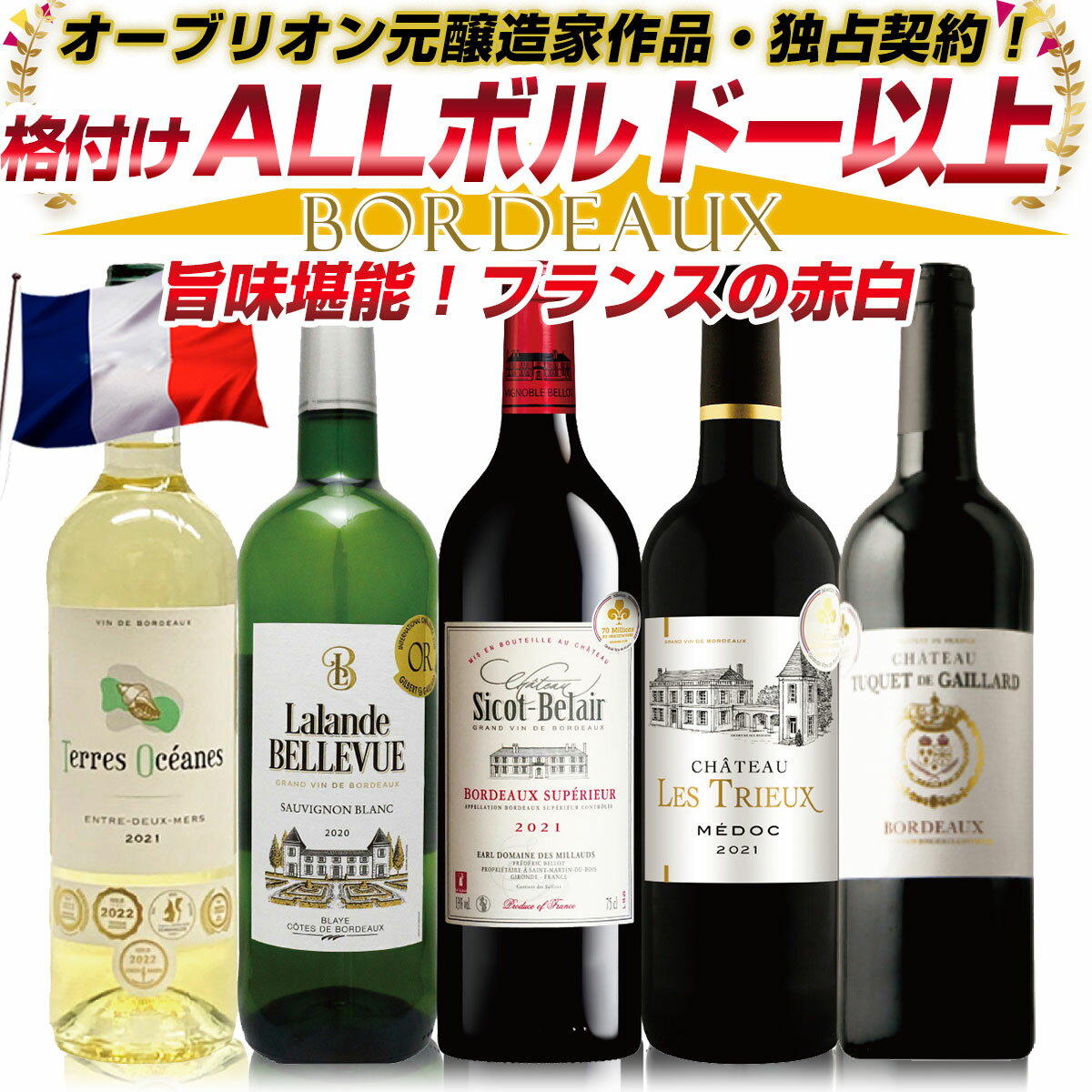 【5/25 100％Pバックキャンペーン】 格付けはすべてフランス ボルドー以上！【＊格上メドックが必ず入ります！】 更にあの5大シャトー、オーブリオン元醸造家作品入り！世界中のワインラヴァ―に愛されるフランスボルドーから 赤白セット 赤ワイン 白ワイン：P53