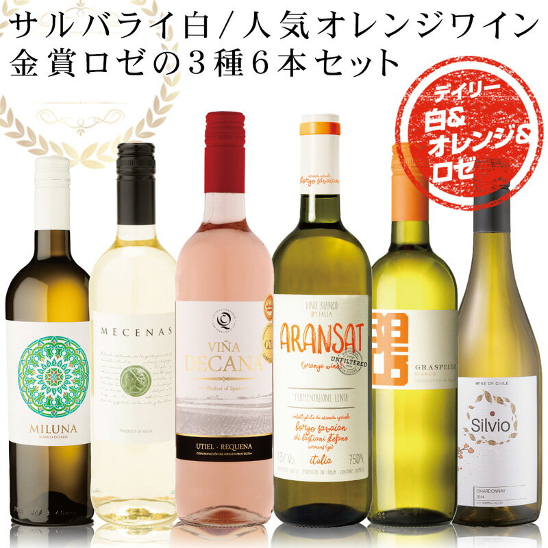 【5/9～16 100％Pバックキャンペーン】 白ワイン オレンジワイン ロゼワイン 飲み比べ6本セット 白ワインには高級赤ワインアマローネなどを手掛けるSALVALAI オレンジワインには人気のアランサット ロゼは金賞受賞品　お食事に合わせやすい内容で価格、品種共に厳選