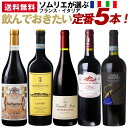 楽天ベストワイン輸入販売大人の至高屋★おすすめ！【不動の人気 赤ワインセット】売れ筋5本詰め合わせセット モンテプルチアーノカサーレヴェッキオ＆バローネコルナッキア、サンタデュック、バルバレスコ、南仏フィトゥ！