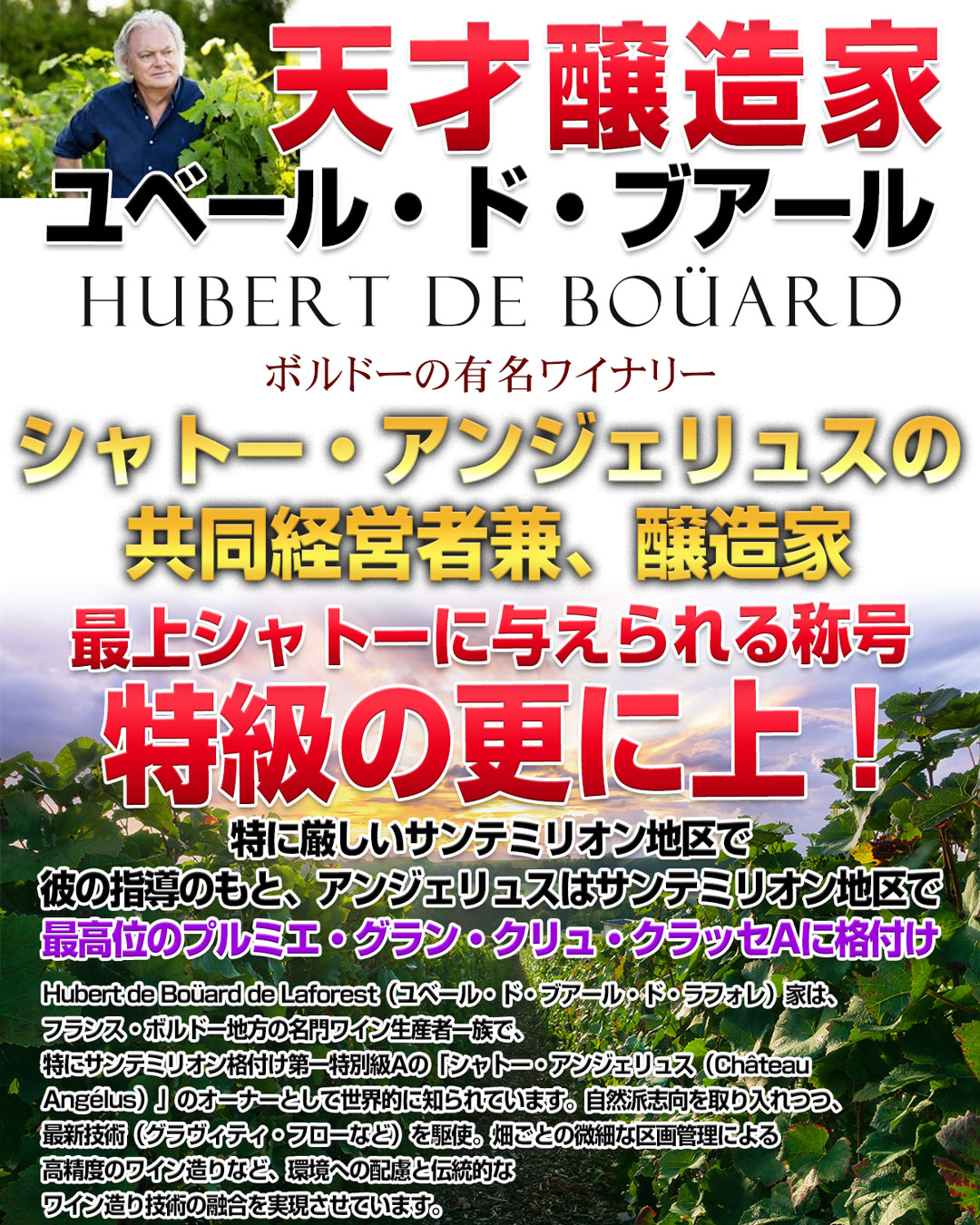 現地掘り出し物を発掘！サンテミリオン格付け第一特別級Aのシャトー・アンジェリュスの天才醸造家が手掛ける【エスプリ・ド・ベリザル】フランス ボルドー 赤ワイン フルボディ 750ml デキャンタおすすめ 父の日 best-wine-10001135 ベストワイン輸入販売大人の至高屋 サンプル画像2